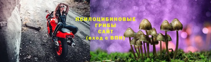 Галлюциногенные грибы Magic Shrooms  Рузаевка 