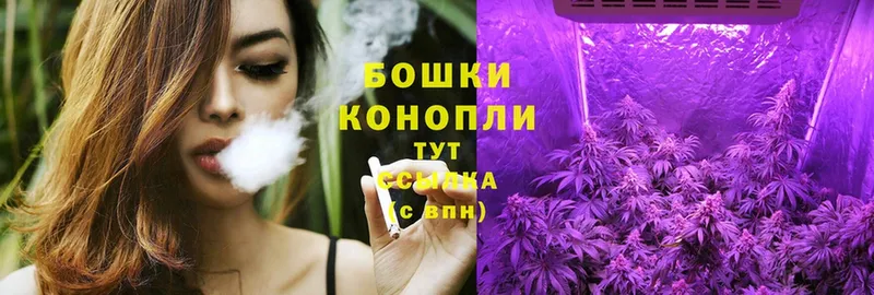 продажа наркотиков  мега как зайти  Каннабис THC 21%  Рузаевка 